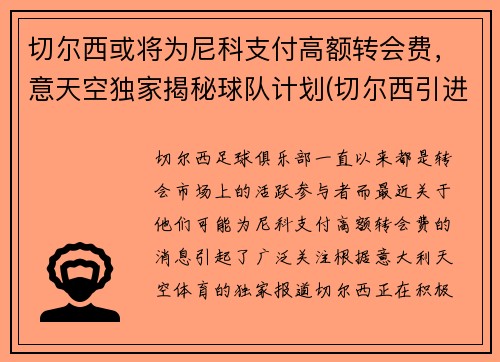 切尔西或将为尼科支付高额转会费，意天空独家揭秘球队计划(切尔西引进球员)