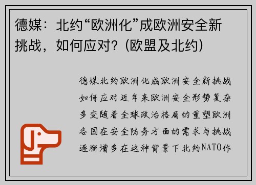 德媒：北约“欧洲化”成欧洲安全新挑战，如何应对？(欧盟及北约)