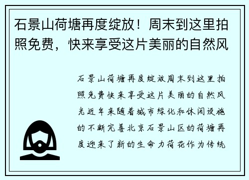 石景山荷塘再度绽放！周末到这里拍照免费，快来享受这片美丽的自然风光！
